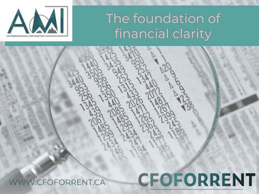 A.M.I. Professional Corporation branded template with a document that has rows of financial numbers and a magnifying glass that zooms in on five rows.